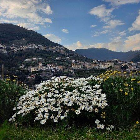 La Margherita Fiorita 拉维罗 外观 照片