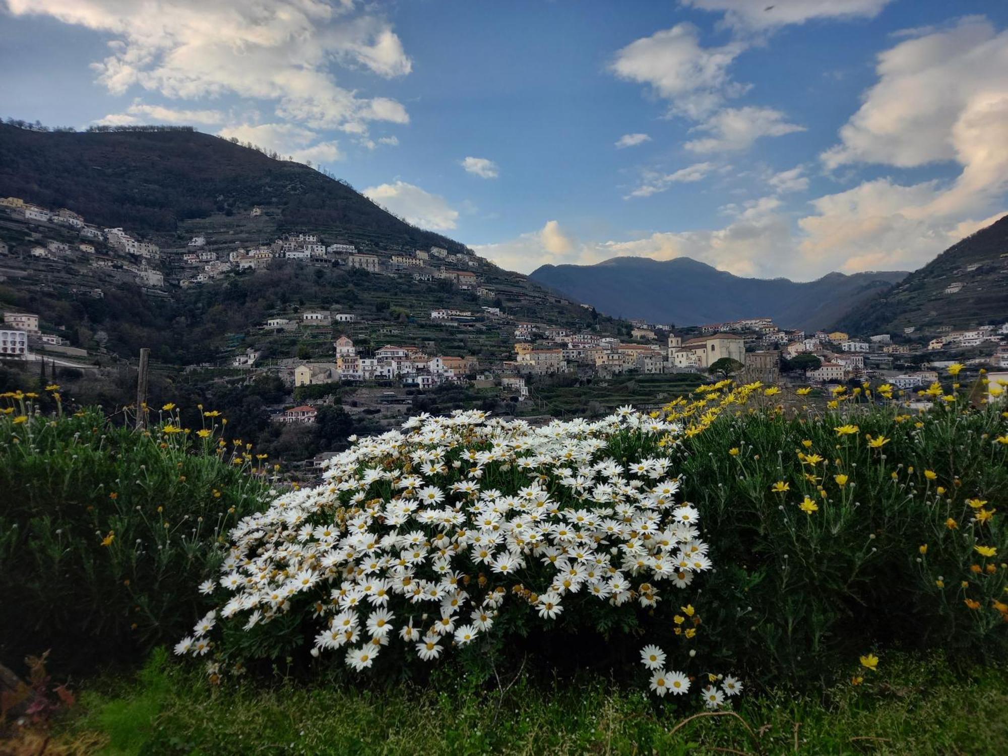 La Margherita Fiorita 拉维罗 外观 照片